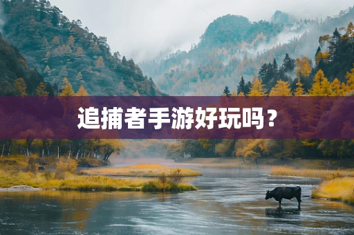 追捕者手游好玩吗？