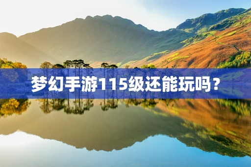 梦幻手游115级还能玩吗？