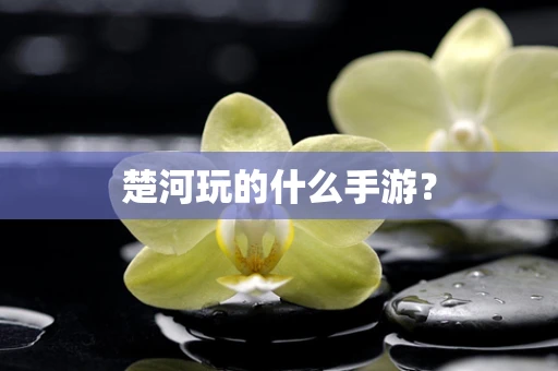 楚河玩的什么手游？
