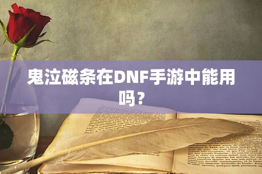 鬼泣磁条在DNF手游中能用吗？