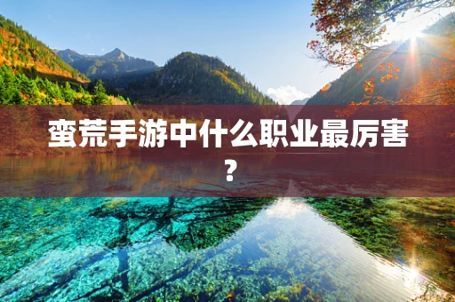蛮荒手游中什么职业最厉害？