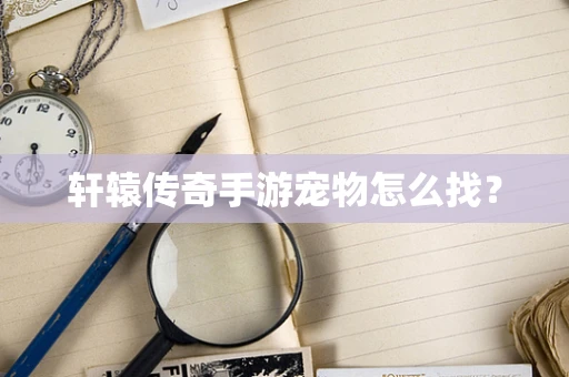 轩辕传奇手游宠物怎么找？
