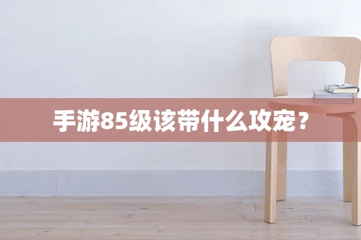 手游85级该带什么攻宠？