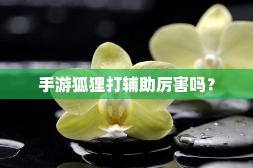 手游狐狸打辅助厉害吗？