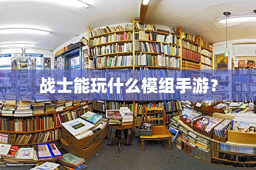 战士能玩什么模组手游？