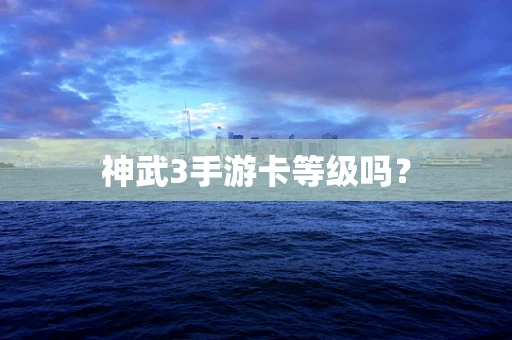 神武3手游卡等级吗？