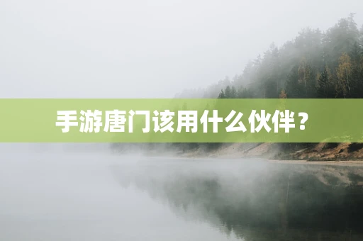 手游唐门该用什么伙伴？