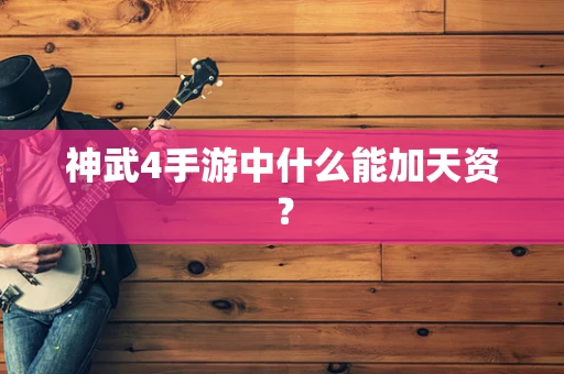 神武4手游中什么能加天资？