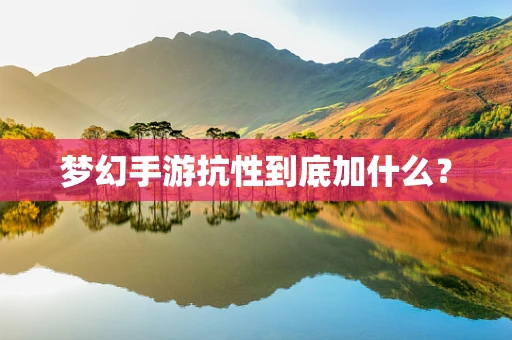 梦幻手游抗性到底加什么？