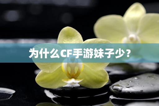 为什么CF手游妹子少？