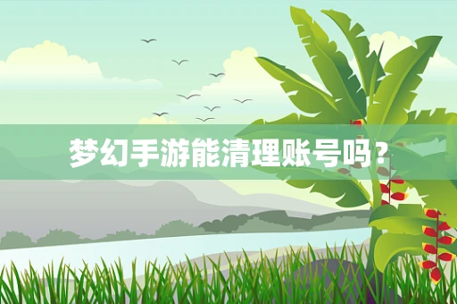 梦幻手游能清理账号吗？