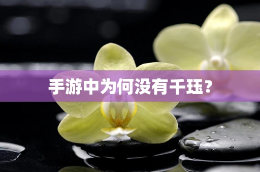 手游中为何没有千珏？