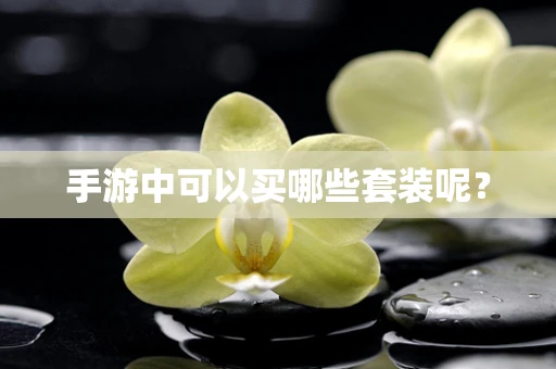 手游中可以买哪些套装呢？