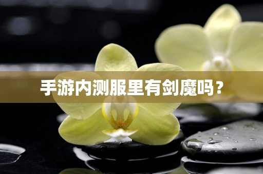 手游内测服里有剑魔吗？
