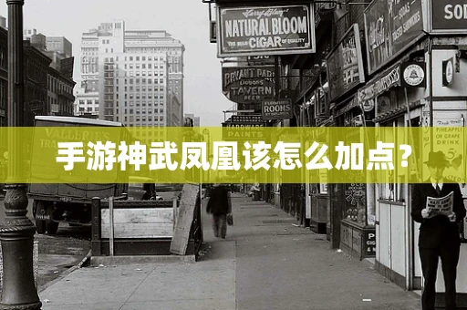 手游神武凤凰该怎么加点？