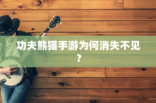 功夫熊猫手游为何消失不见？