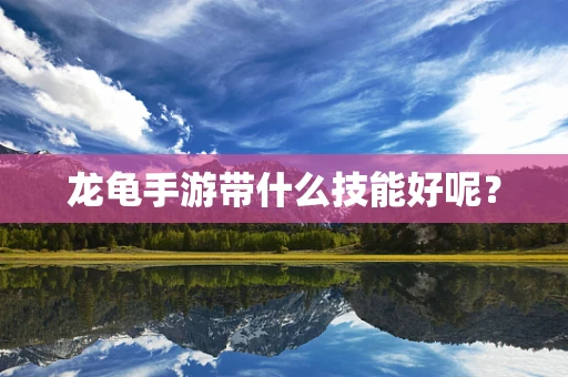 龙龟手游带什么技能好呢？