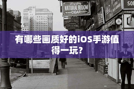 有哪些画质好的iOS手游值得一玩？