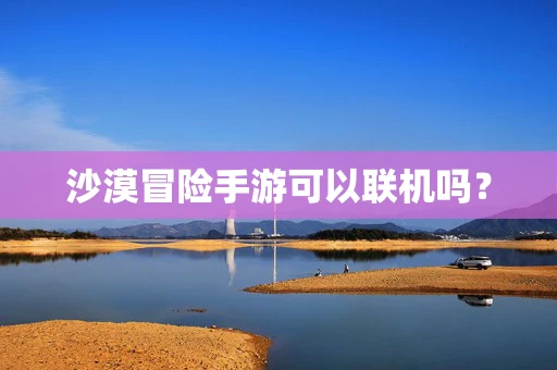 沙漠冒险手游可以联机吗？