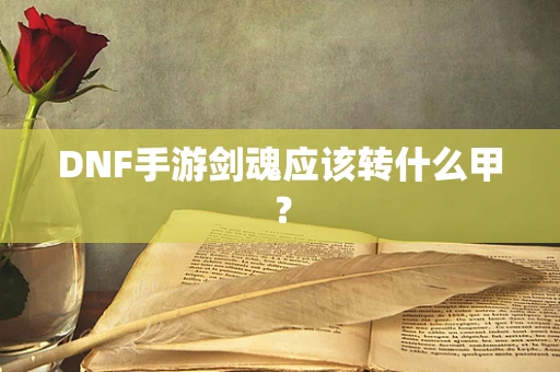 DNF手游剑魂应该转什么甲？