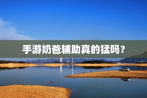 手游奶爸辅助真的猛吗？