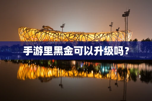 手游里黑金可以升级吗？