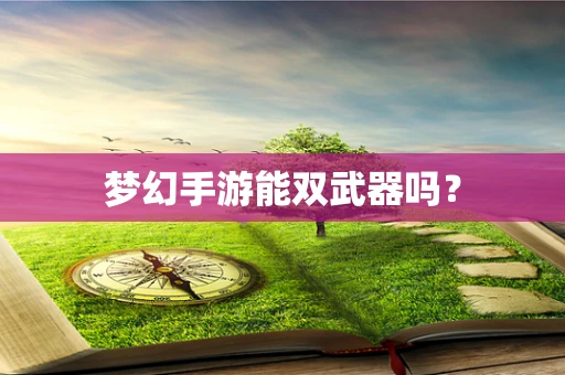 梦幻手游能双武器吗？