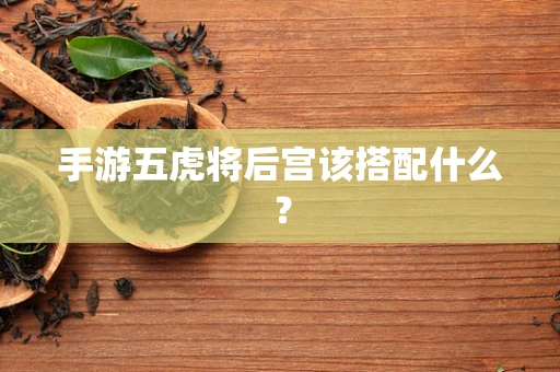 手游五虎将后宫该搭配什么？