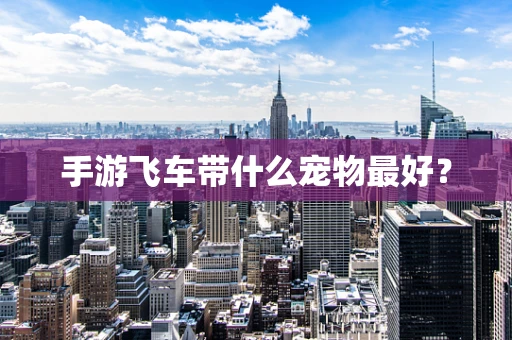 手游飞车带什么宠物最好？