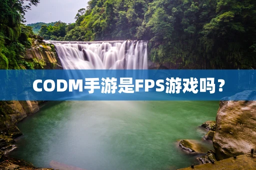CODM手游是FPS游戏吗？