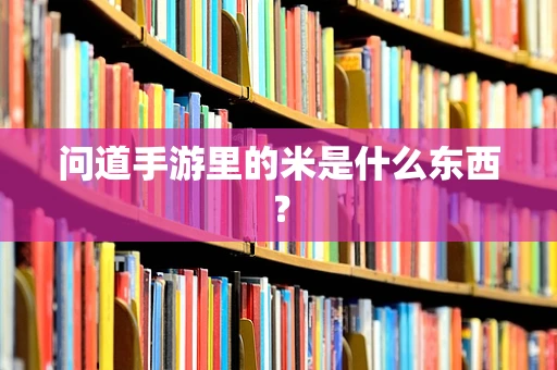 问道手游里的米是什么东西？