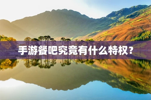 手游餐吧究竟有什么特权？
