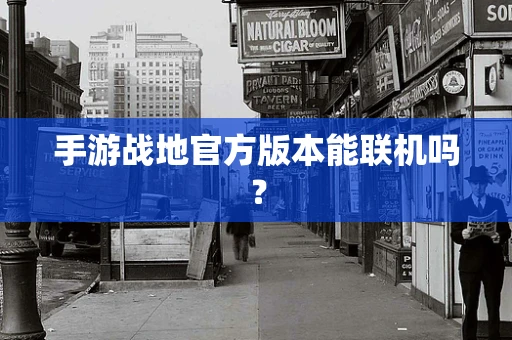手游战地官方版本能联机吗？