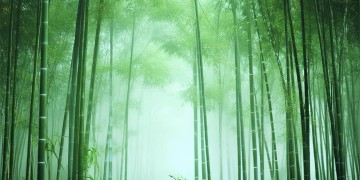 天刀手游镖师究竟是什么？