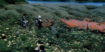 火影手游死门凯会听什么歌呢？