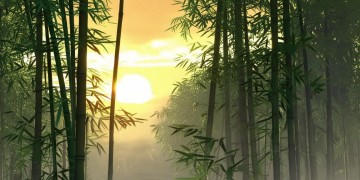 楚留香手游剧情能跳过吗？