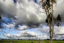 哪些骑马攻城的手游好玩？