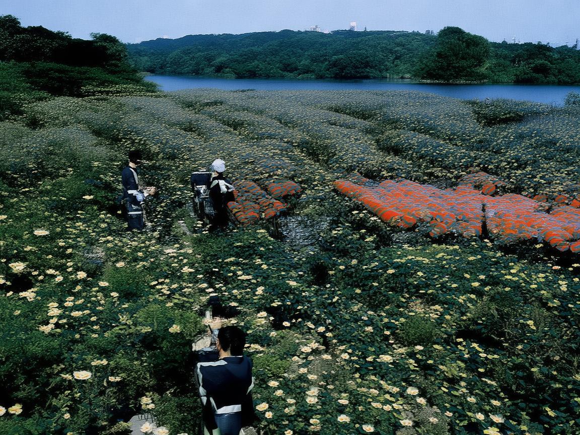 火影手游死门凯会听什么歌呢? 火影手游死门凯会听什么歌呢?